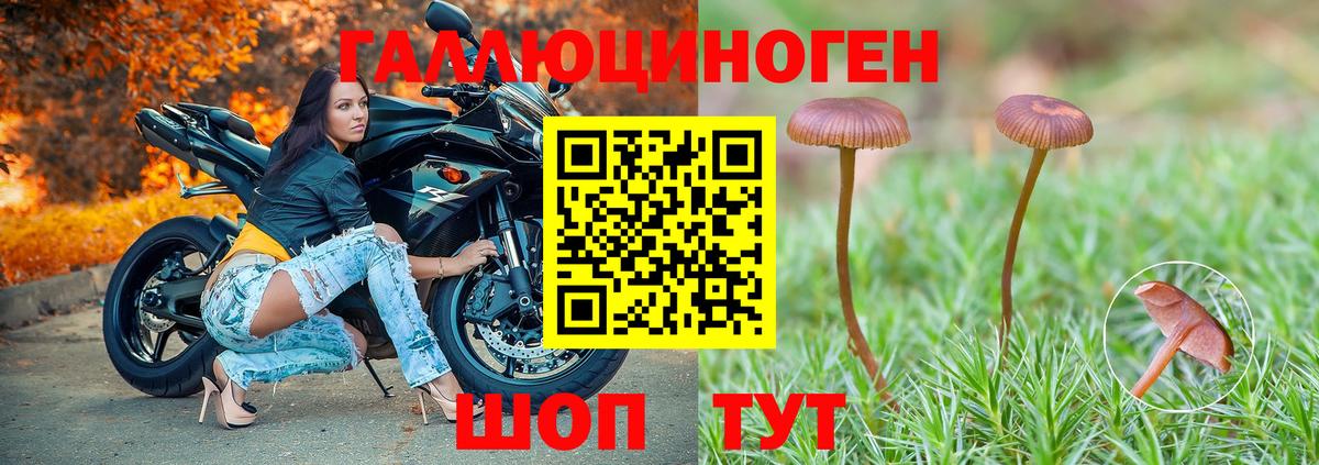 Киров  Галлюциногенные грибы ЛСД  Вход с VPN  Псилоцибиновые грибы мухоморы 
